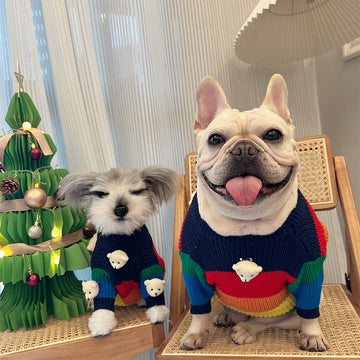 rainbow bear jumper