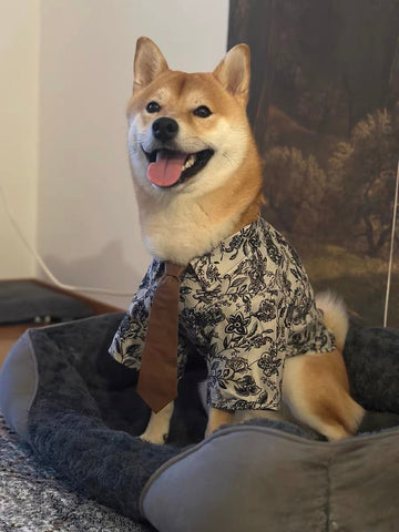 paris romance shirt