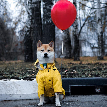 trendy outdoor waterproof jacket