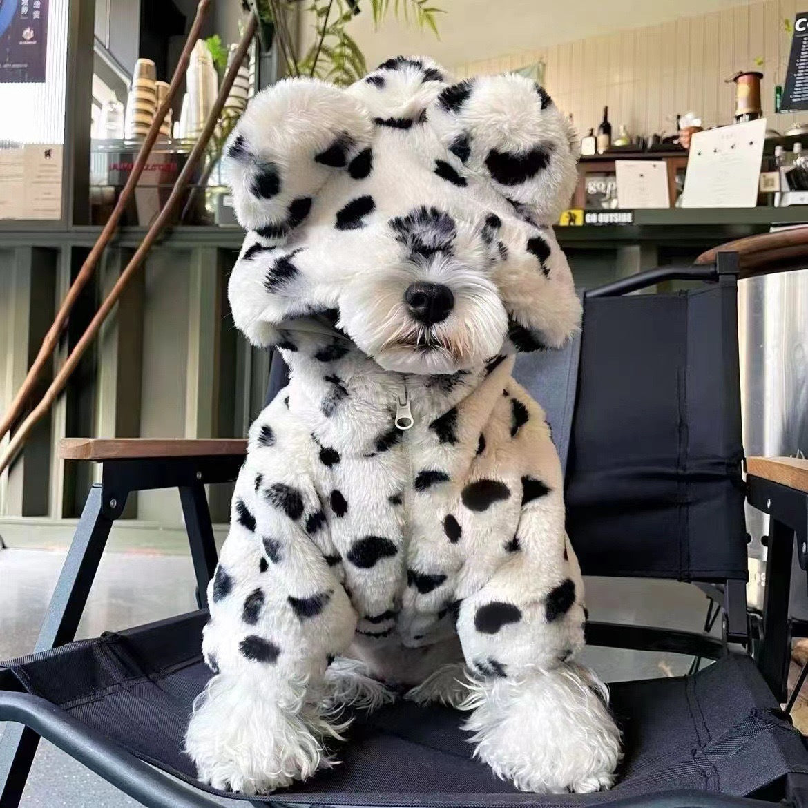black dots coat