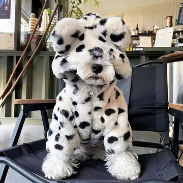 black dots coat