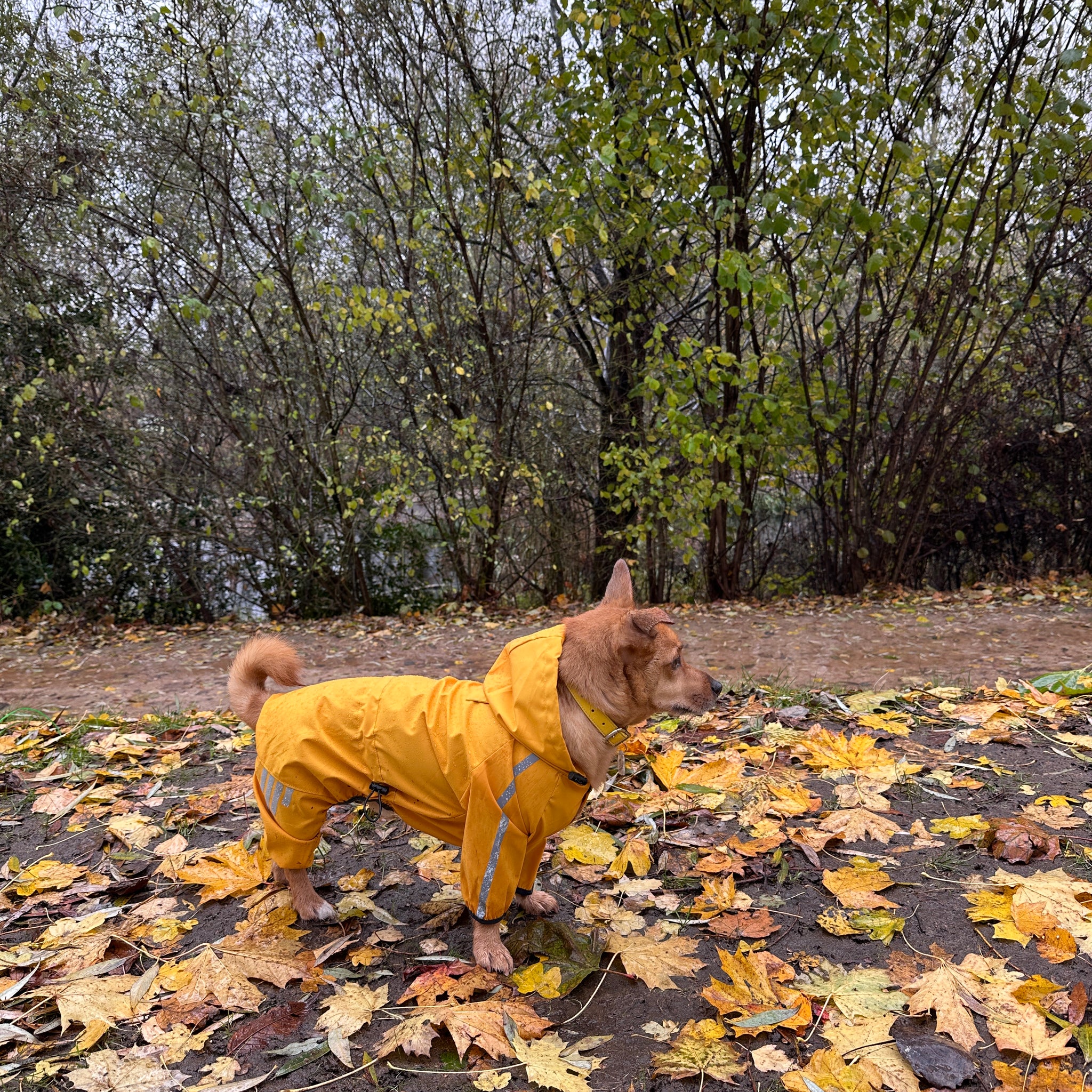 outdoor lover full coverage hooded raincoat