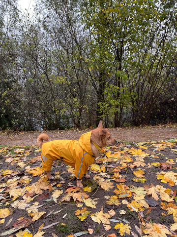 outdoor lover full coverage hooded raincoat