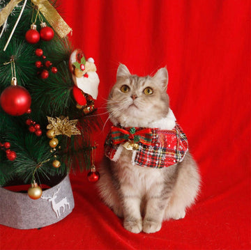 christmas shawl