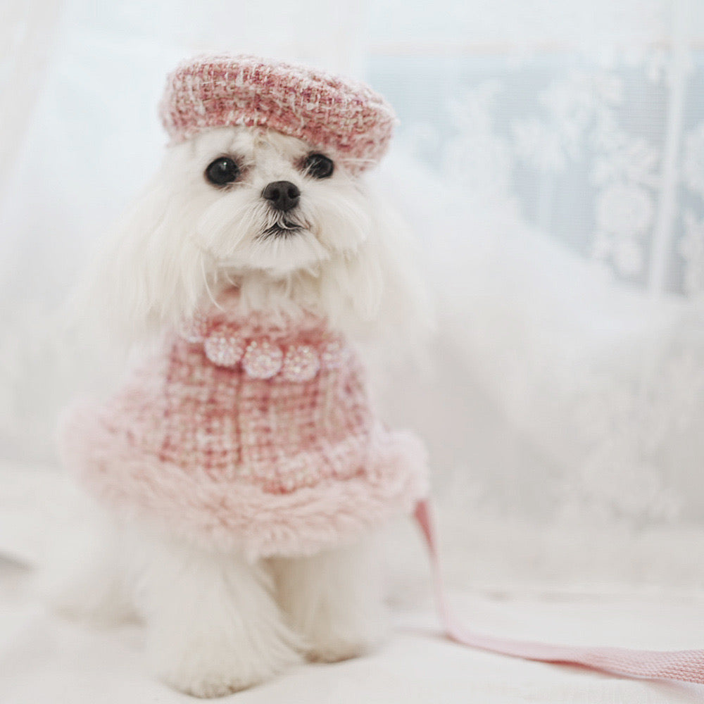 Demure lady cape set