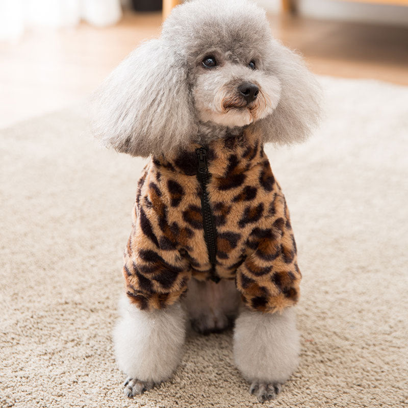 leopard print jacket