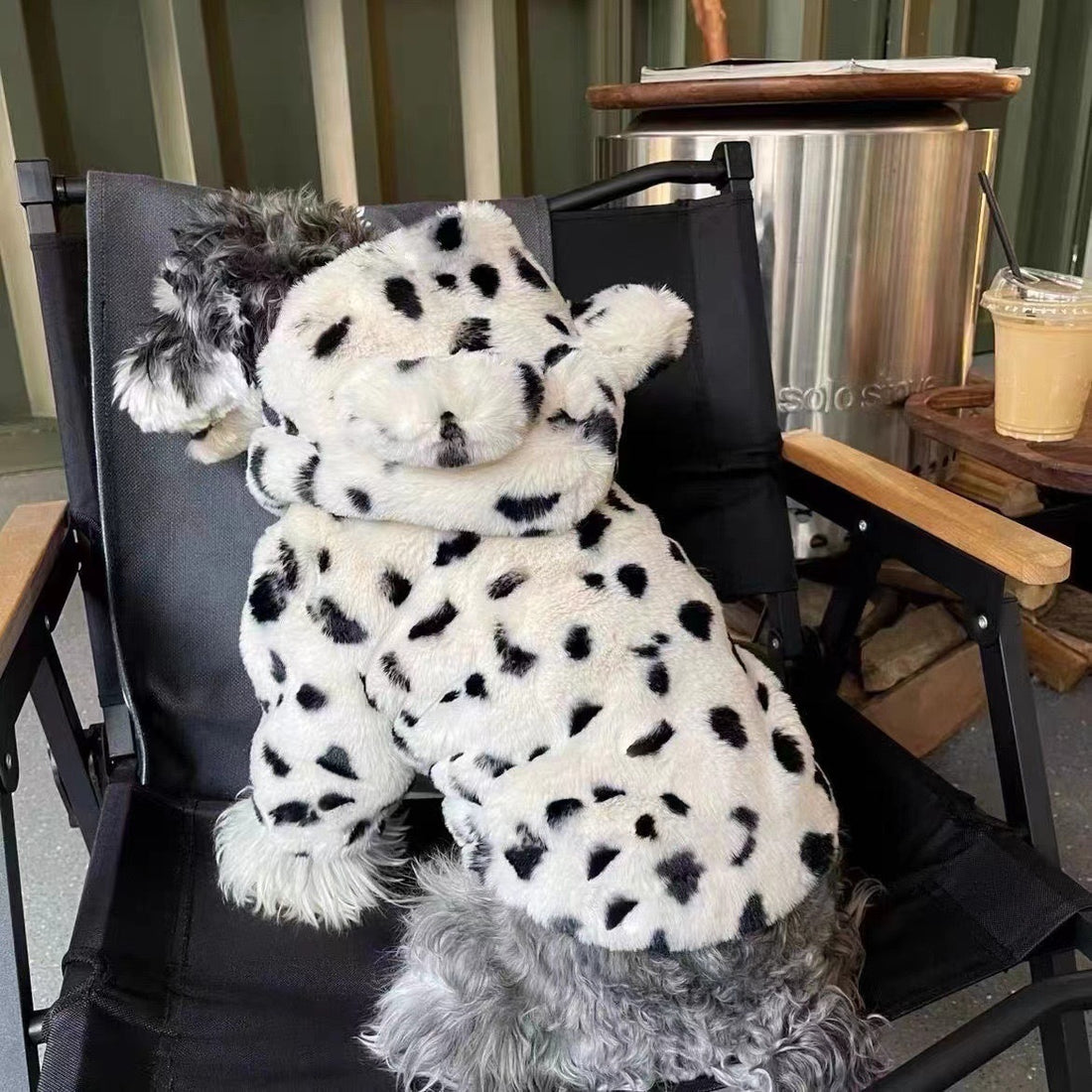 black dots coat