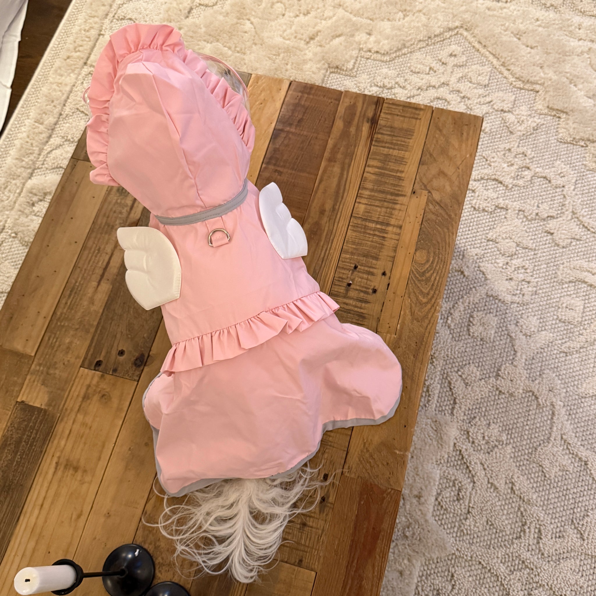sweet angel coverage raincoat