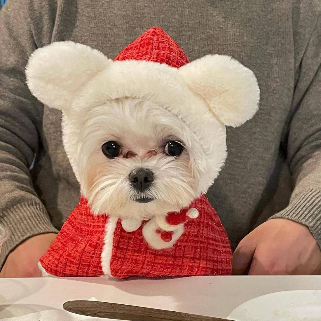 cute bonny christmas cape