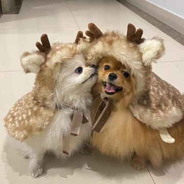 christmas reindeer hooded cape