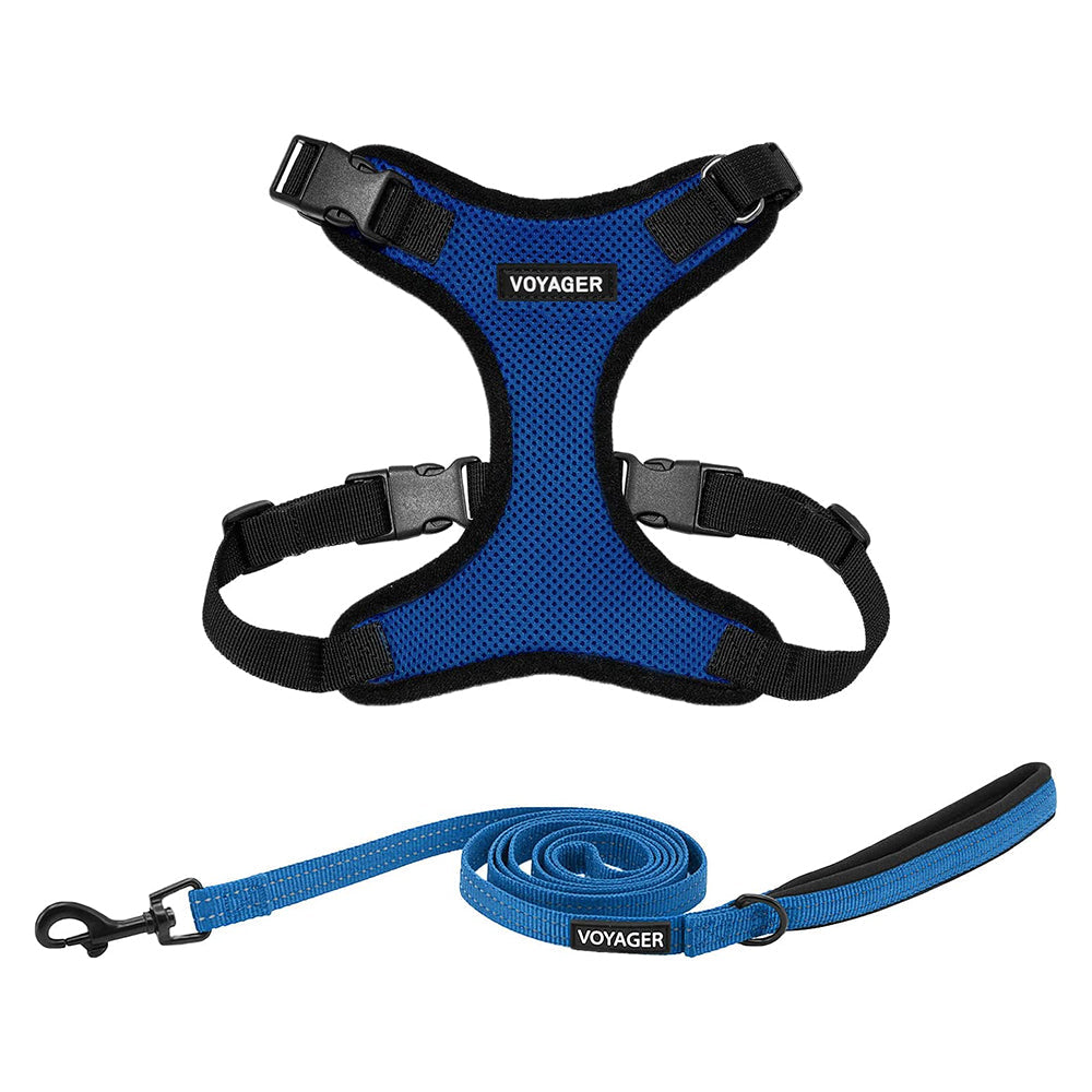 PetSafe Remote Training Collar